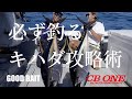 必ず釣るキハダ攻略術 渡辺一平【CB ONE】山田晋【GOOD BAIT】Yellowfin Tuna Fishing in Mie