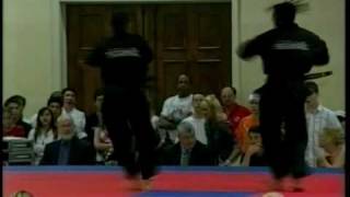 Matt Emig & Daniel Sterling Team Sync 2004