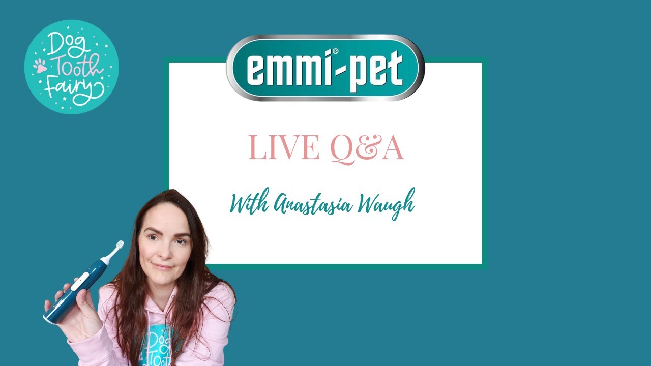 EmmiPet live Q&A YouTube