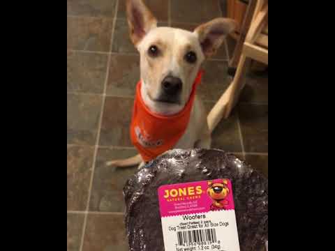 ვიდეო: Jones Natural Chews Co. იხსენებს Woofers Beef Patties ძაღლს