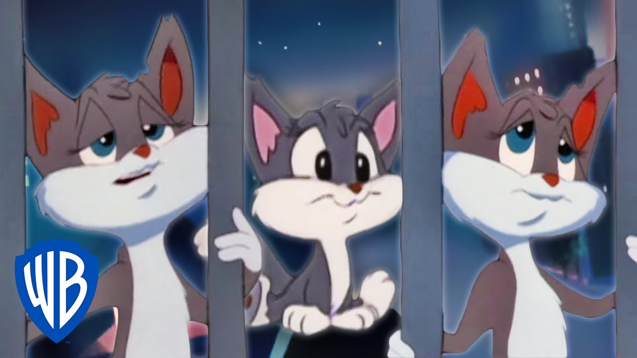 Animaniacs | Humans Don’t Mean Much to Me Song | Classic Cartoon | WB Kids