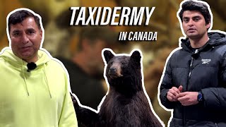 What is taxidermy? Taxidermy in canada