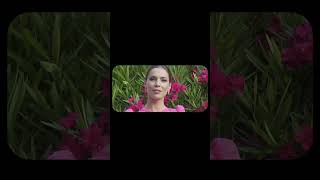 97624ba86c714854b5c687c24af77364