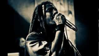 SOJA feat. O Rappa - Everything Changes [Aúdio Perfeito] Wealth