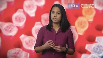 Pinpointing the causes of neurodevelopmental disorders | Patricia Loren Nano, PhD