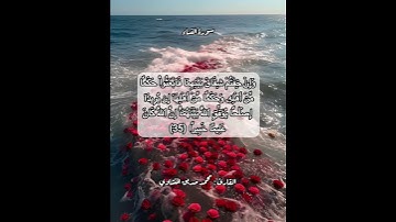 سورة النساء ٣٥#قرآن #قرآن_كريم #قران #قران_كريم #قرأن #quran