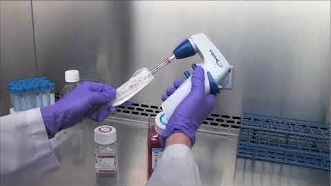 Aseptic Technique of Cell Culture Basics