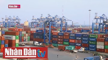 TP Hồ Chí Minh bắt đầu thu phí cảng biển từ năm 2021