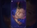 Superman Vuelve en el Tiempo #ChristopherReeve #Superman