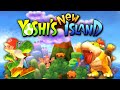Yoshi S New Island Full Game No Damage 100 Walkthrough 