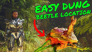EASY DUNG BEETLE TAMING LOCATION on Ark Survival Ascended the ISLAND!!!