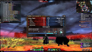 Guild Wars 2 Funny Bug Ranked Arena
