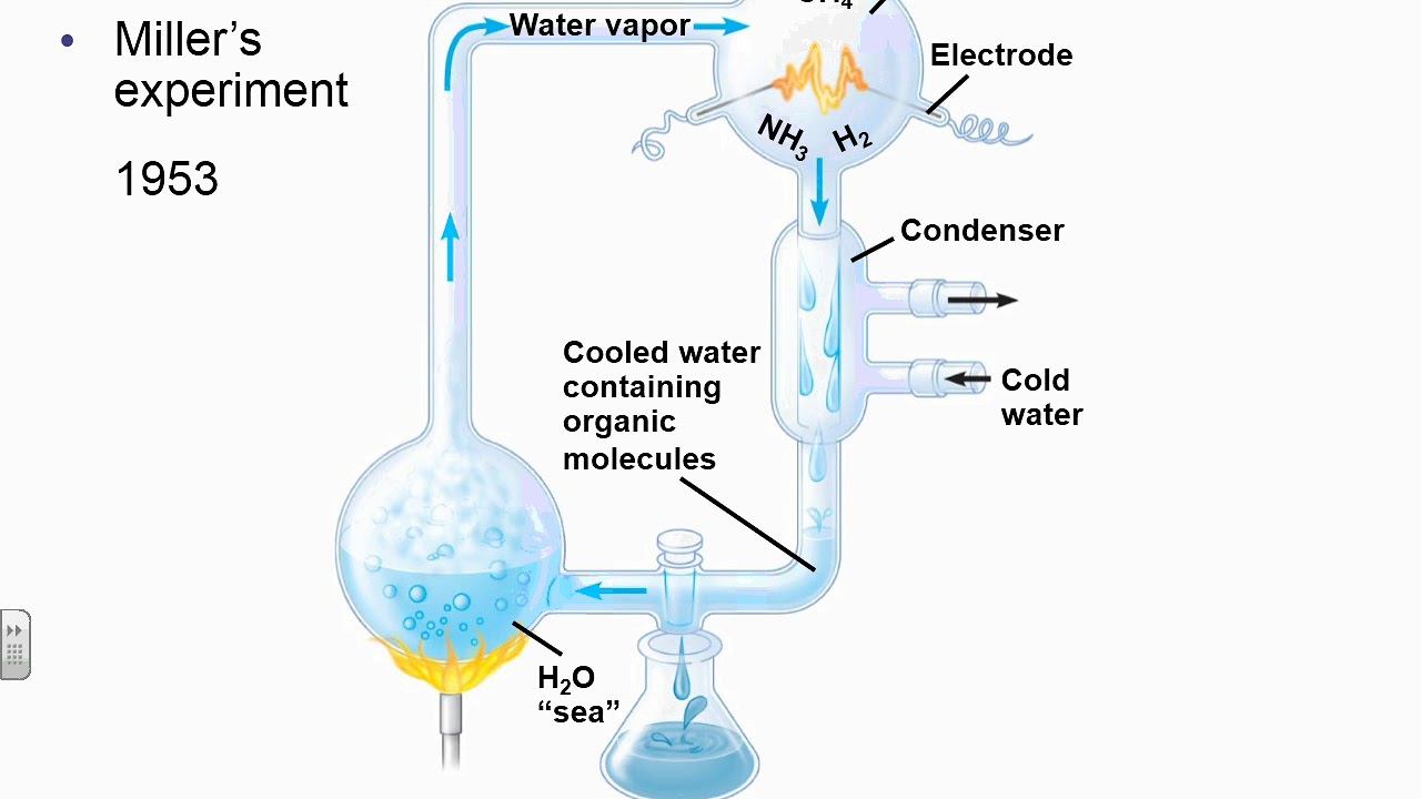 Импульсы холодная вода. Water Vapor. Ch4 + h2o пар. Water Vapor химия. Эксперимент Миллера - Юри.