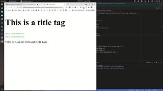 CSS Crash Course for Beginners | Learn CSS in 1 Hour (2025)