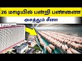 பன்றி பண்ணைக்கு 26 மாடியா | அதிகம் லாபம் தரும் பன்றி வளர்ப்பு | Fabby