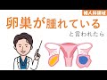 【全女性の5-7%】症状が出にくい卵巣腫瘍について【婦人科】