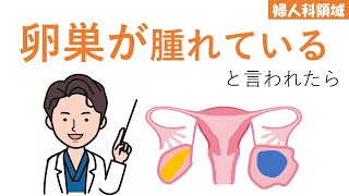 【全女性の5-7%】症状が出にくい卵巣腫瘍について【婦人科】