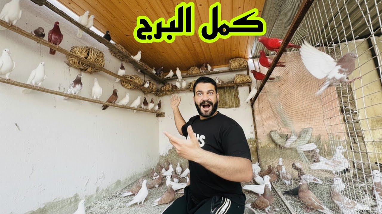 اكمال برج الحمام 