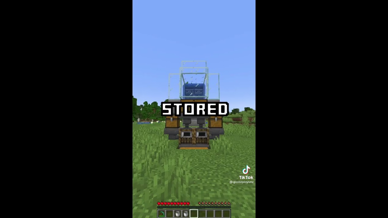 Kelp Xp Farm