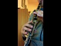 Bulgarian Clarinet Solo 2 4 Practice