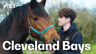 Rescuing the Cleveland Bay, Britains unsung heros | RIDE presented by Longines