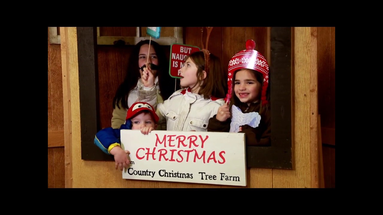 Country Christmas Tree Farm Dance Party YouTube