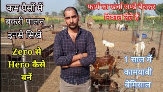 कम पैसों में बकरी फार्म कैसे शुरू करें #How to start goat farming in low budget