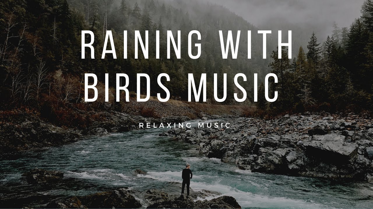 Rain music/music/Relaxing music/ bird's music/musicals movies