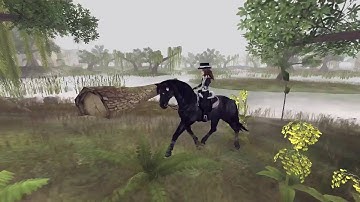 ＣＯＮＴＲＯＬ -  SSO MV