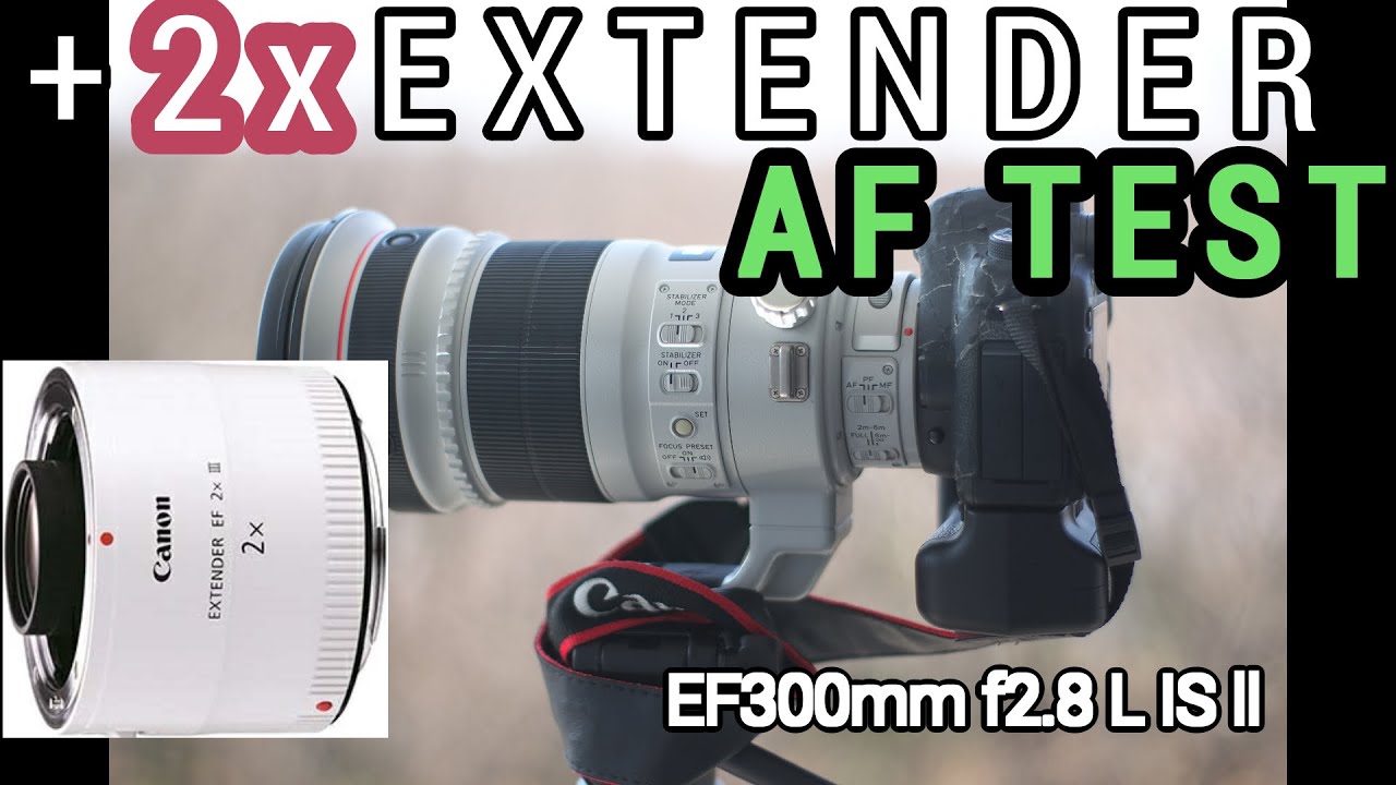 Canon EF 300mm 2倍テレコン AF speed 2x Extender 作例少しあります