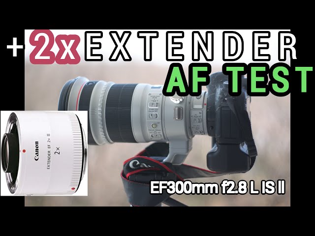 Canon EF 300mm 2倍テレコン AF speed 2x Extender 作例少しあります ...