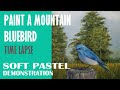 Paint a mountain bluebird  how to paint birds  birds in soft pastel with rita ginsberg