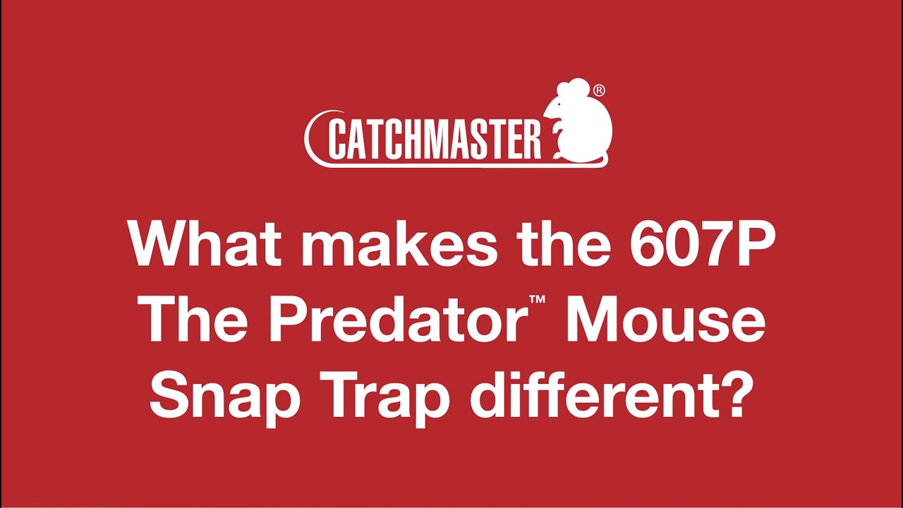 Catchmaster Easy Set Mouse Snap Trap (605P)