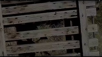 Delphi Murders. Looking Back. Call In.