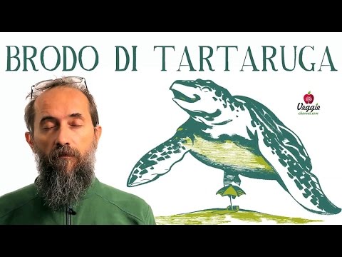 Video: Zuppa Di Tartaruga: Ricetta, Caratteristiche Di Cottura