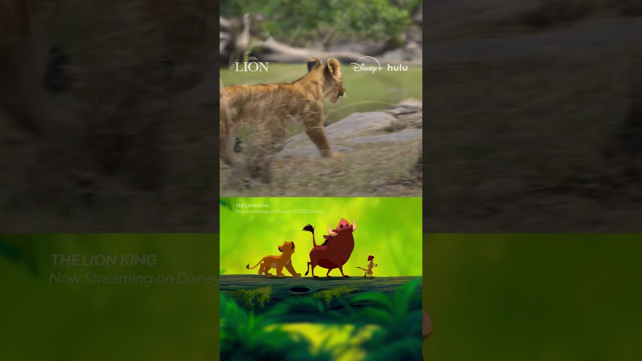 Kio just can't wait to be king—but does he have what it takes? 🦁

#NatGeoLION is now streaming on Disney+ and Hulu. 

Explore the World with National Geographic subscriptions: https://natgeo.com/ytngmagazine

➡ Subscribe: https://on.natgeo.com/4p5A0D6
➡ Get more Nat Geo Full Episodes: https://on.natgeo.com/3V5ZfHI
➡ Get wild with Nat Geo Animals Full Episodes: https://on.natgeo.com/3V2EOLO

And check out more National Geographic series and specials here:
➡ Disney Plus: https://on.natgeo.com/3q6on5p
➡ Hulu: https://on.natgeo.com/3Qor0Ko
➡ NGTV: https://natgeo.com/tv
➡ ABC: https://abc.com

#NationalGeographic 

About National Geographic:
National Geographic is the world's premium destination for critically acclaimed storytelling around science and exploration. Discover amazing wildlife, ancient civilizations, hidden worlds, and the incredible wonders of our Earth. Through world-class scientists, photographers, journalists, and filmmakers, Nat Geo inspires fans of all ages to connect with, explore, and care about the world.

Get More National Geographic:
Official Site: https://nationalgeographic.com
Instagram: https://instagram.com/natgeo 
Facebook: https://facebook.com/natgeo
Threads: https://threads.com/@natgeo
X: https://x.com/NatGeo
LinkedIn: https://linkedin.com/company/national-geographic
TikTok: https://tiktok.com/@natgeo
Reddit: https://reddit.com/user/nationalgeographic
Pinterest: https://pinterest.com/natgeo

Can't Wait to be King #NatGeoLion
https://youtube.com/shorts/Dekuj5FCqvo

National Geographic
youtube.com/natgeo