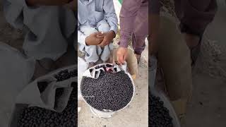 Only Available In Pakistan ๐ณ Hidden Fruit