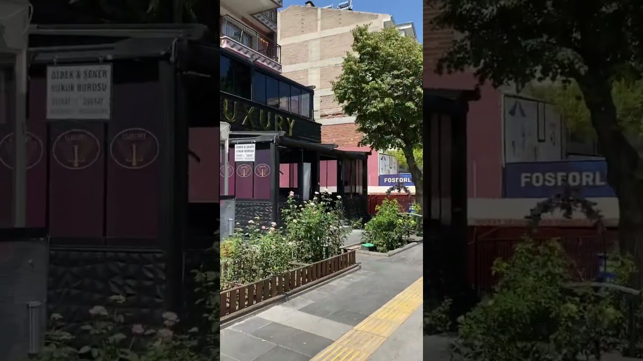 14 сентября 2024 г.