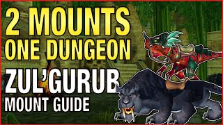 How to get the Swift Zulian Panther Mount & Armored Razzashi Raptor Mount Guide | Zul'Gurub Mounts