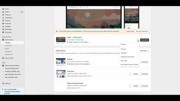 Setting up a Shopify checkout rule to easily block PO Boxes (Old video)