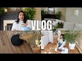 Vlog life update how im feeling  dog essentials for shedding