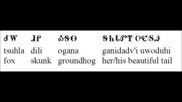 Cherokee Language Project Vocabulary