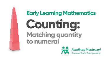 Counting: matching quantity to numeral. Montessori Pre-School (primary).