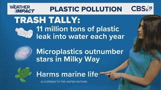 It's World Environment Day! Here's how you can help the Earth