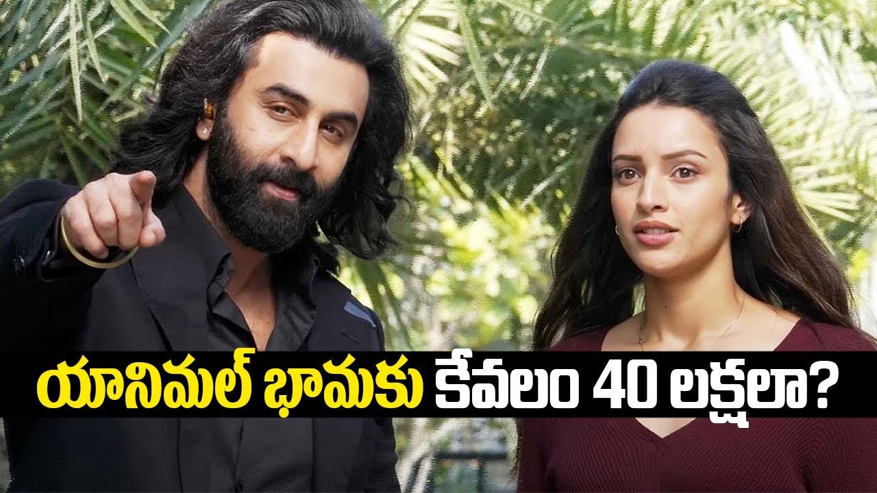 Tripti Dimri Revealed remuneration for Sandeep Reddy Vanga’s Animal Movie | Tupaki Filmy