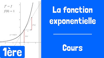 Cours : La fonction exponentielle (et ses propriétés)