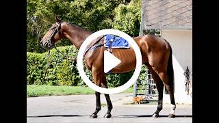 2026 Turnover Sale - TIME IS MONEY (FRENCH FIFTEEN x GIFT OF FORTUNE) Guide