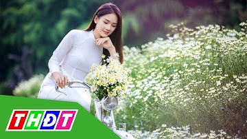 Giới trẻ Hà Nội check in với cúc họa mi đầu mùa | THDT