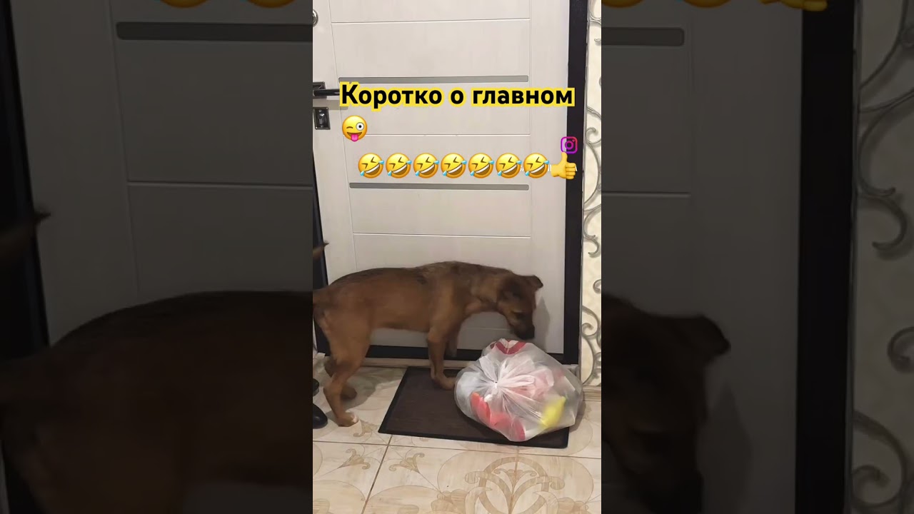 Одна секунда🤣 