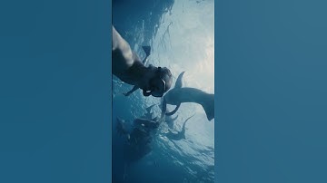 Optical flow in fcpx #filmmaker #filmmaking #videoeditor #filmmakingtips